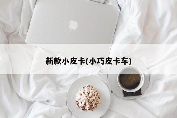 新款小皮卡(小巧皮卡车)