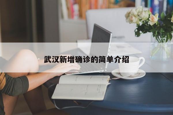 武汉新增确诊的简单介绍