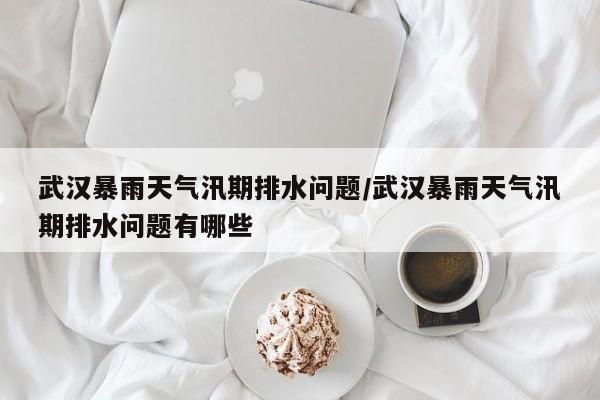 武汉暴雨天气汛期排水问题/武汉暴雨天气汛期排水问题有哪些