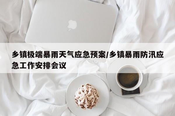 乡镇极端暴雨天气应急预案/乡镇暴雨防汛应急工作安排会议