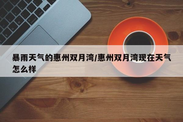 暴雨天气的惠州双月湾/惠州双月湾现在天气怎么样