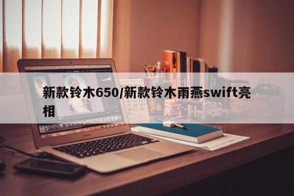 新款铃木650/新款铃木雨燕swift亮相