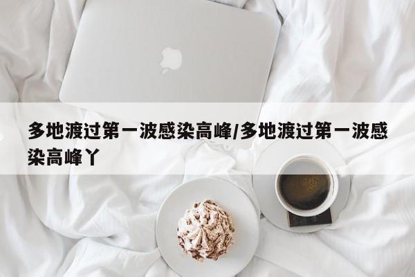 多地渡过第一波感染高峰/多地渡过第一波感染高峰丫