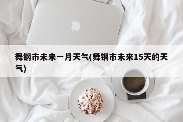 舞钢市未来一月天气(舞钢市未来15天的天气)